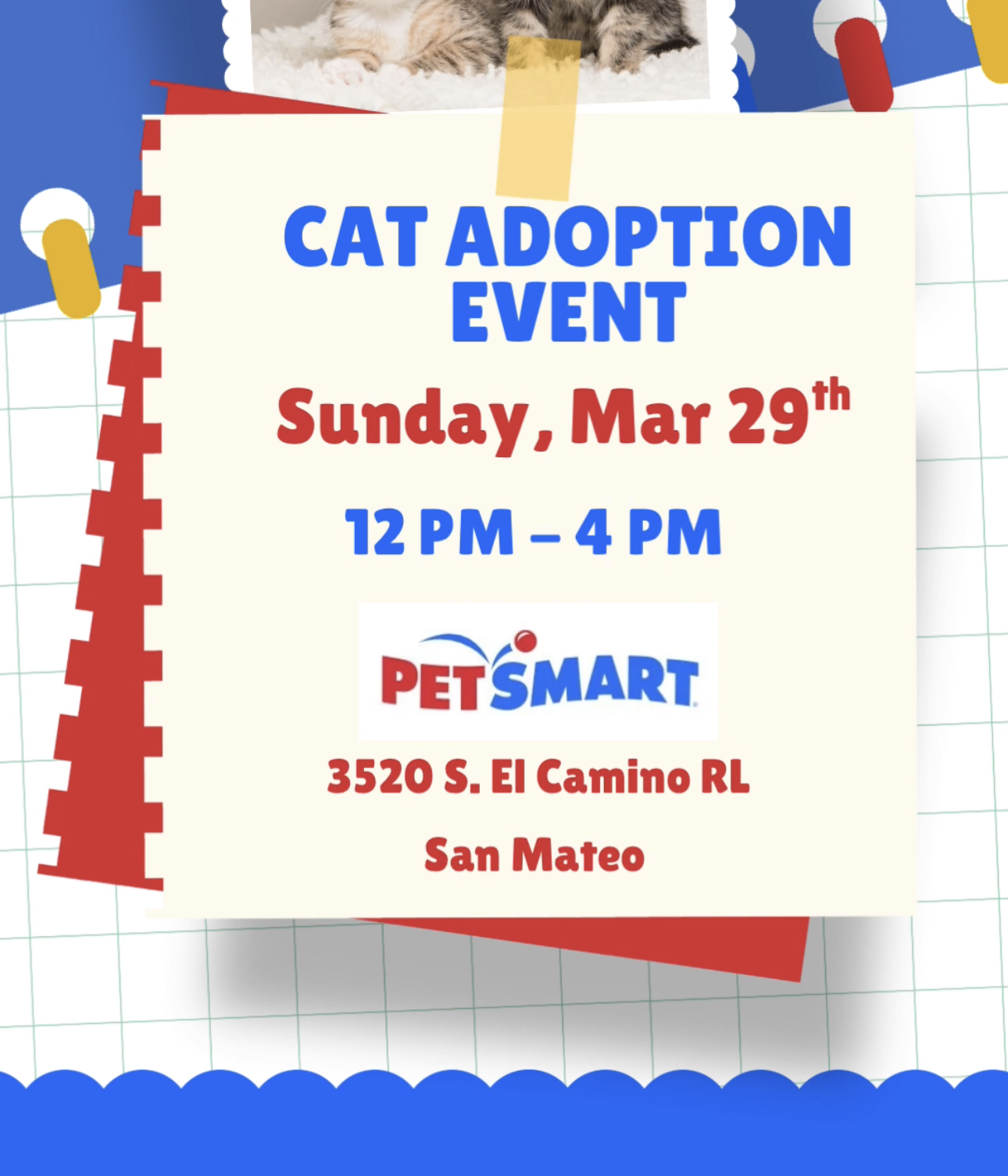 Cat adoption event poster with two kittens for National Adoption Week, March 29, 12–4 PM at PetSmart San Mateo (3520 S. El Camino Real)